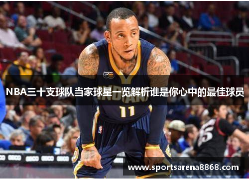 NBA三十支球队当家球星一览解析谁是你心中的最佳球员