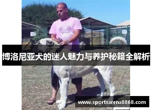博洛尼亚犬的迷人魅力与养护秘籍全解析